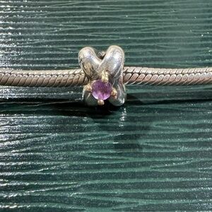 Pandora Amethyst Two Tone Charm
